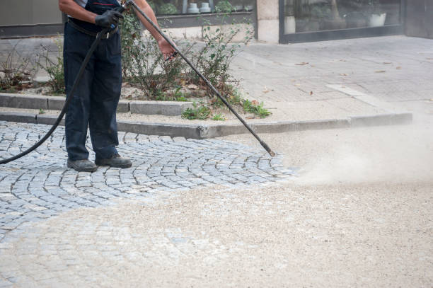 Best Pre-Holiday Cleaning  in New Port Richey, FL